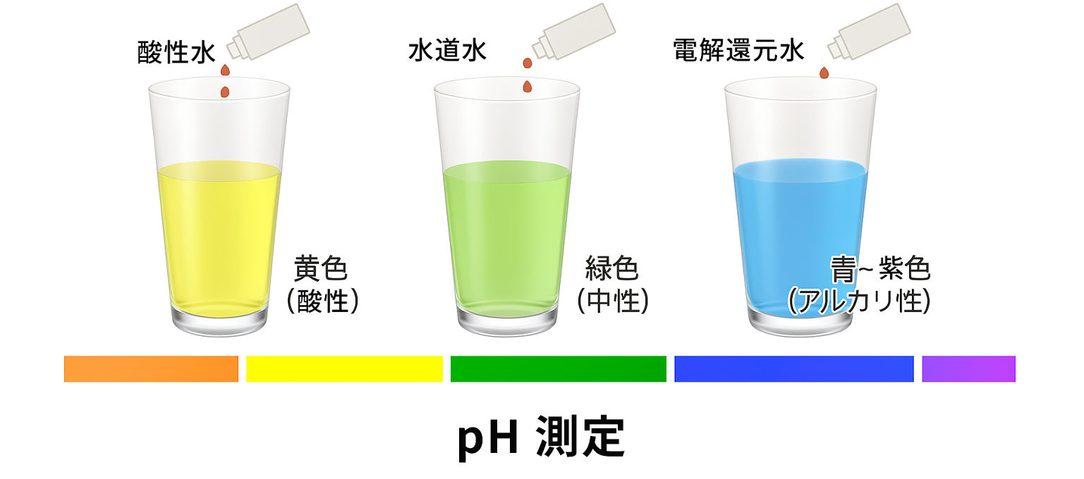 pH����̐����}